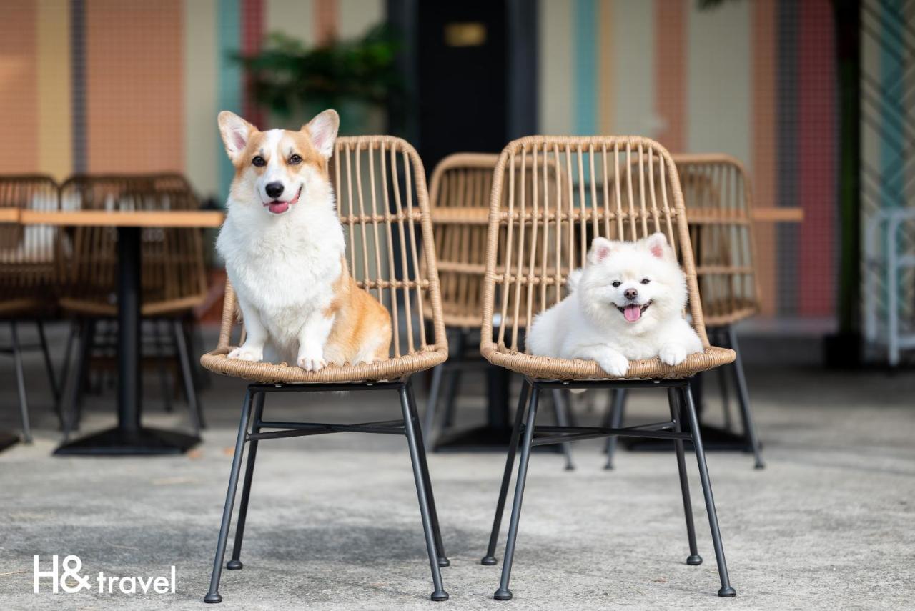 Taitung Rainbow Pet Friendly Maison Resort ภายนอก รูปภาพ